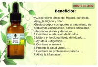 EXTRACTO DIENTE DE LEON